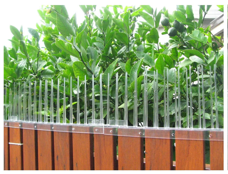 6m Possum Spike Pack