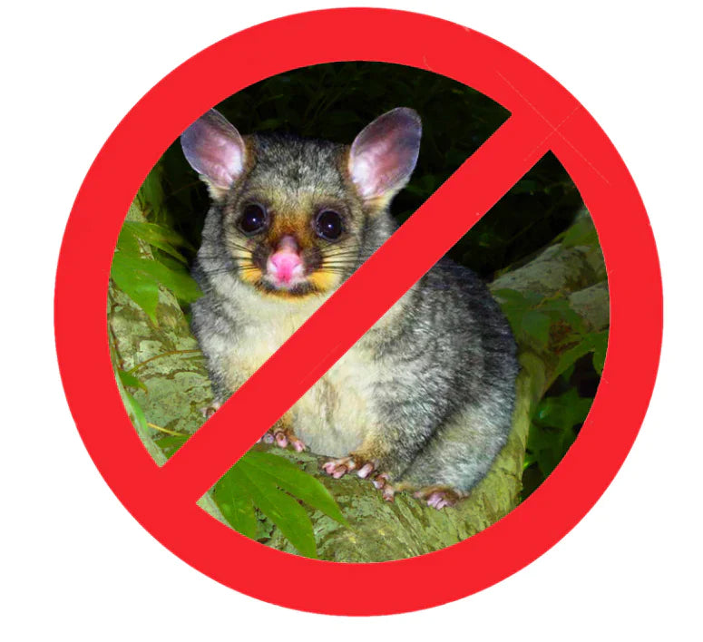 How to Safeguard Your Gardens from Possums